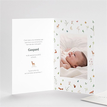 Faire-part naissance gaiement avec graines - Intérieur du faire-part