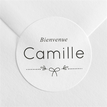 Sticker naissance pictos sur photo