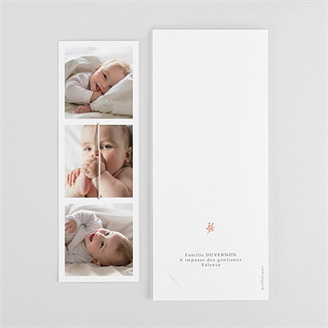 Faire-part naissance notre joie fleur séchée - Détail du faire-part