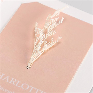 Faire-part naissance notre joie fleur séchée - Vue zommée