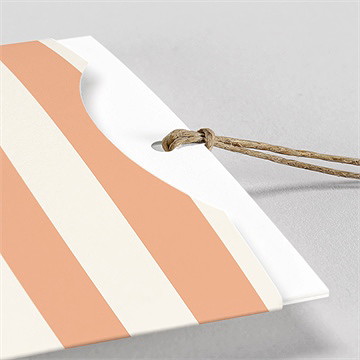 Faire-part naissance rayures estivales pochette duo - Détail du faire-part