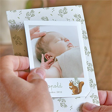 Remerciement naissance écureuil duo - Mise en situation