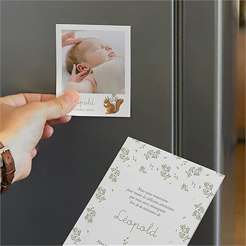 Remerciement naissance écureuil duo - Mise en situation