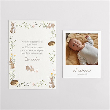 Remerciement naissance la clé des champs duo - Vue d'ensemble