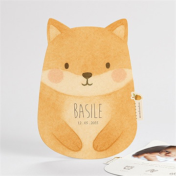 Faire-part naissance renard mondoudou