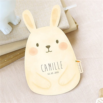 Faire-part naissance lapin mondoudou