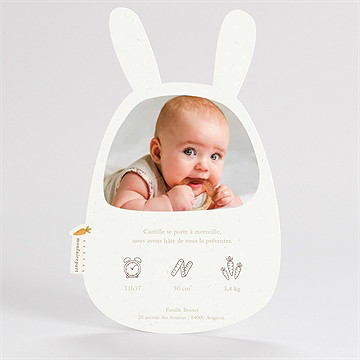 Faire-part naissance lapin mondoudou - Dos du faire-part