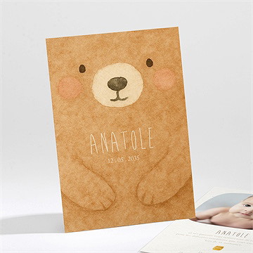 Remerciement naissance ours mondoudou