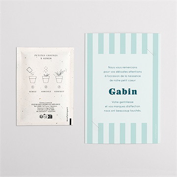 Remerciement naissance rayures marines - Dos du remerciement