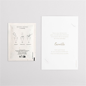 Remerciement naissance vichy avec graines - Dos du remerciement