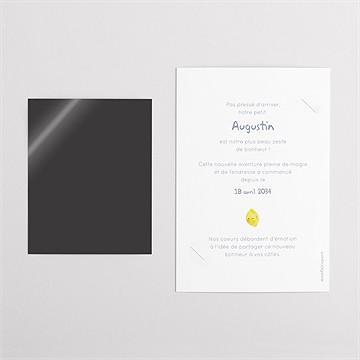 Faire-part naissance mon petit citron - Dos du faire-part