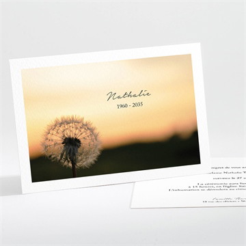 Faire-part décès pissenlit à l’aube