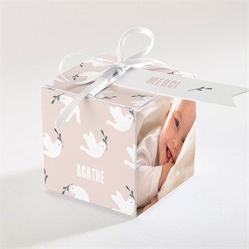 Boîte de dragées baptême envolée de colombes portrait
