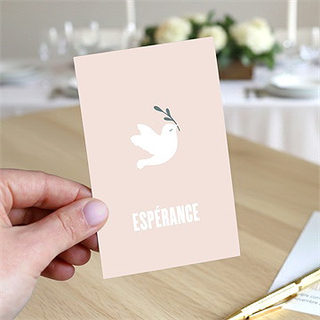 Signet communion vol de colombes - Mise en situation