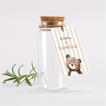 Mignonette baptême ours en rayures