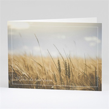 Remerciement décès épis de blé