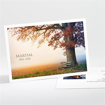 Faire-part décès arbre d’automne