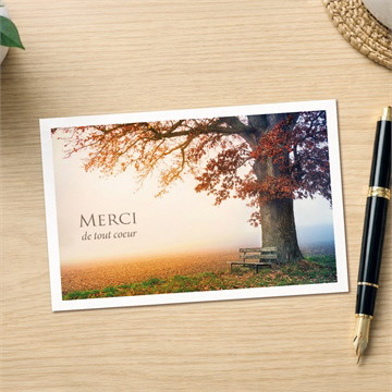 Remerciement décès arbre d’automne