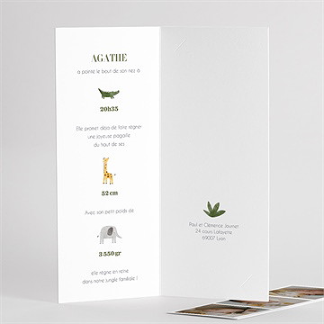 Faire-part naissance animaux jungle - Détail de l'intérieur