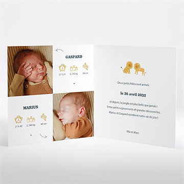Faire-part naissance deux petits lions - Intérieur du faire-part