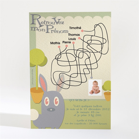 Faire-part naissance réf. N21001 réf.N21001