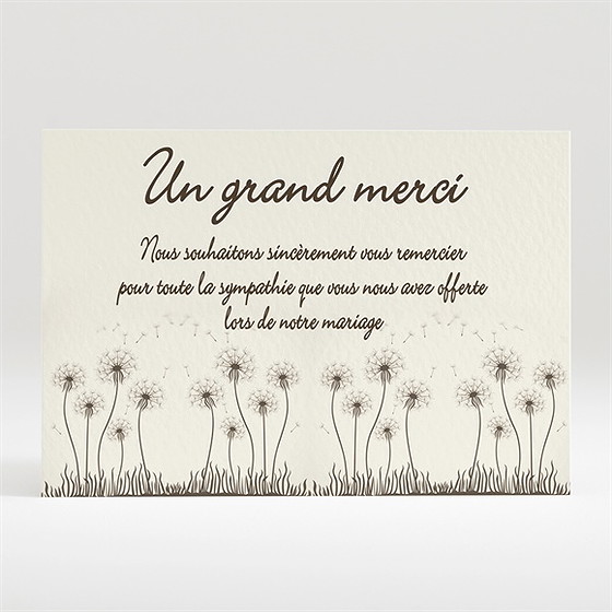 Remerciement mariage sur la balançoire