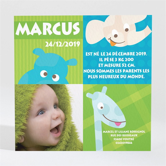 Faire-part naissance réf. N30012 réf.N30012