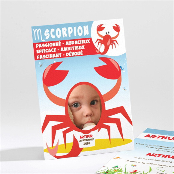 Faire-part naissance réf. N21135 réf.N21135