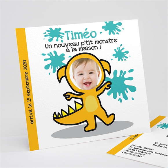 Faire-part naissance Notre petit Monstre réf.N31103