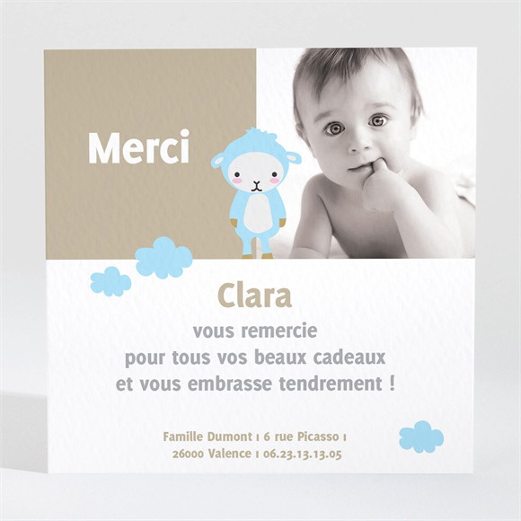 Remerciement naissance Mouton peluche photo réf.N30005