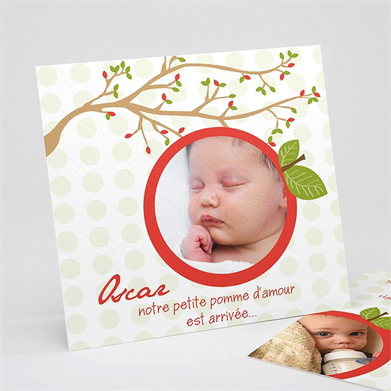Faire-part naissance petite branche naissance