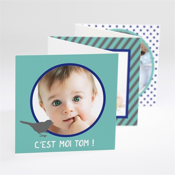 Faire-part naissance Bel oiseau sur fond bleu vert réf.N80004