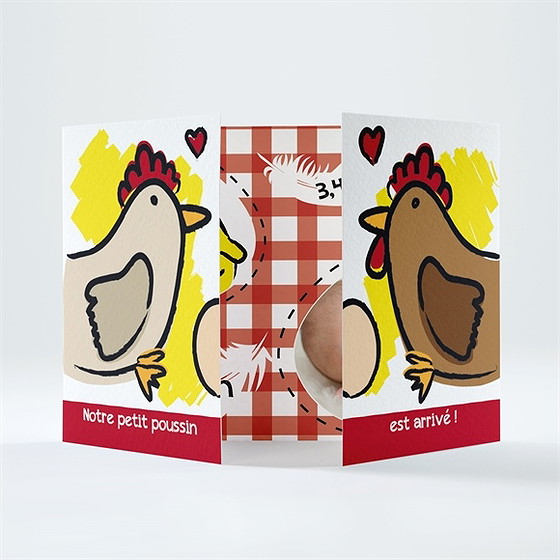 Faire-part naissance notre petite poule