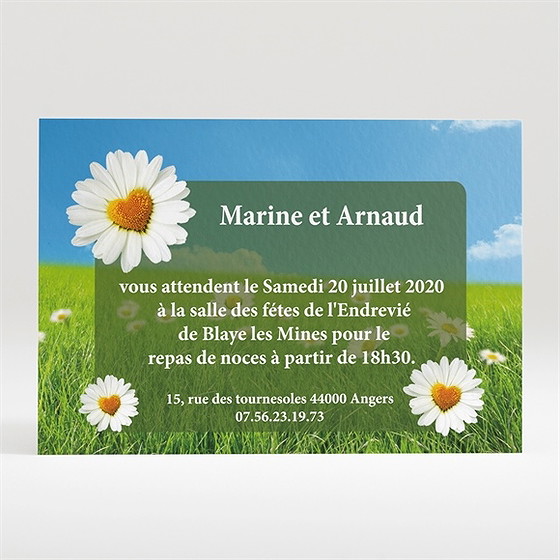 Carton d'invitation mariage notre mariage est dans le pré