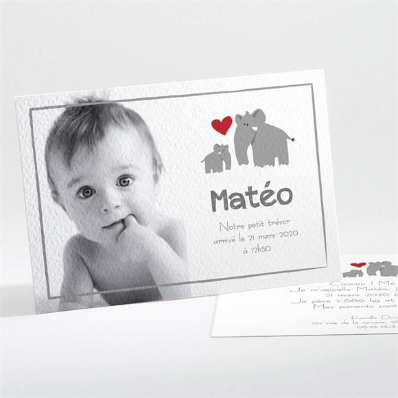 Faire-part naissance Famille Eléphant réf.N11123
