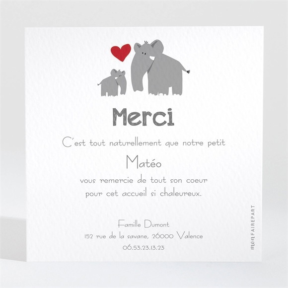 Remerciement naissance Famille Eléphant réf.N30030