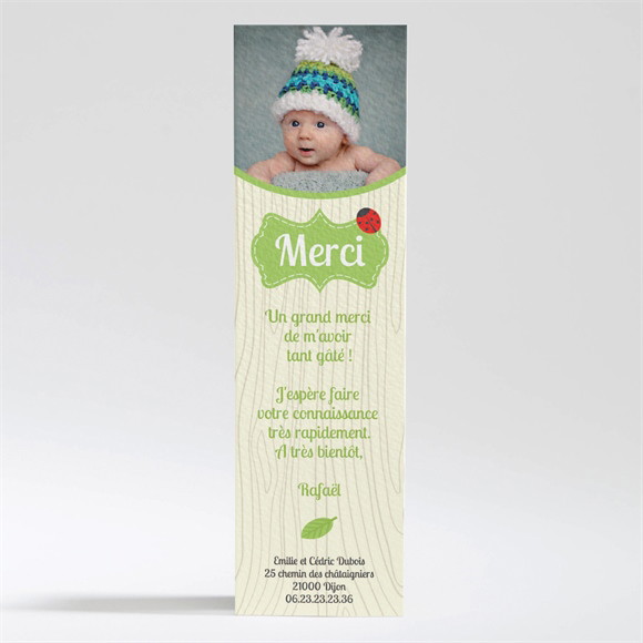 Remerciement naissance Bannières en folie réf.N200147