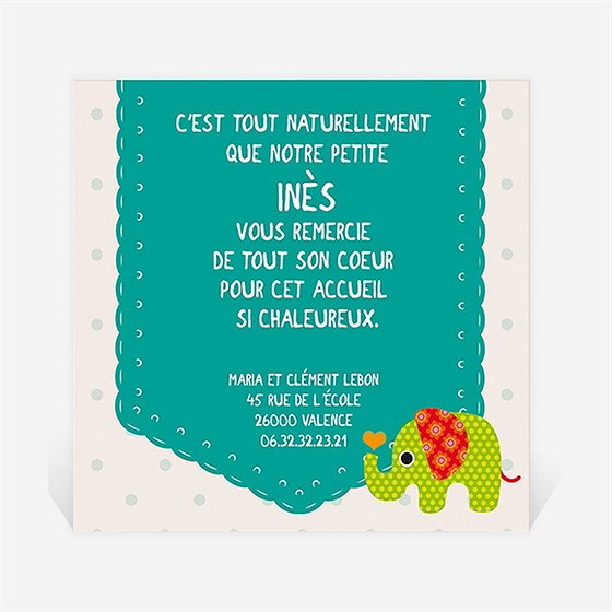 Remerciement naissance réf. n30040
