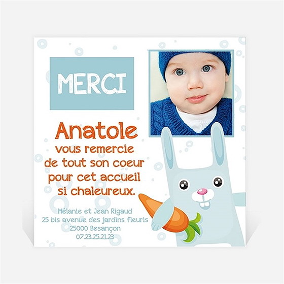 Remerciement naissance lapin carotte