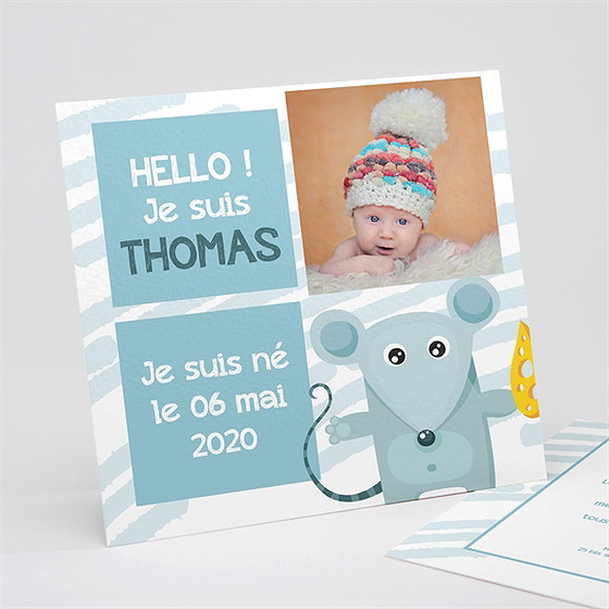 Faire-part naissance souriceau