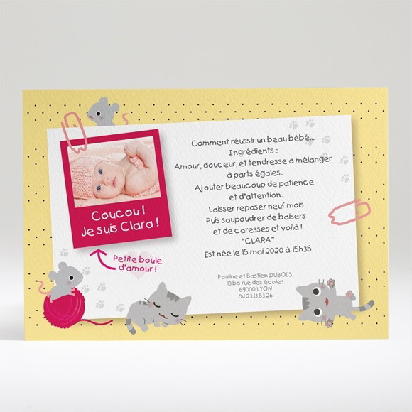 Faire-part naissance Petites souris réf.N14008
