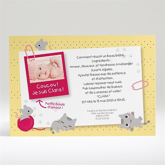 Faire-part naissance petites souris