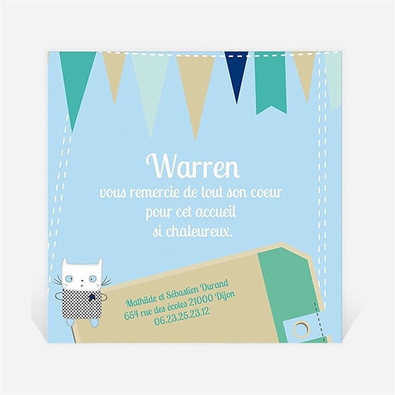 Remerciement naissance petit chaton photo