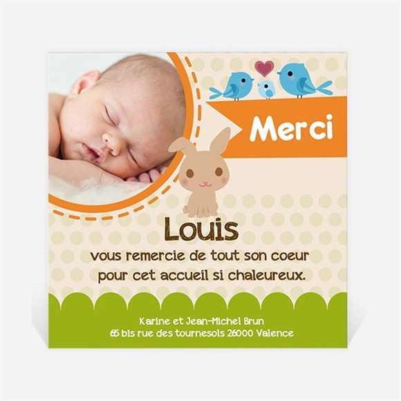 Remerciement naissance Lapin et carotte mignon réf.N30082