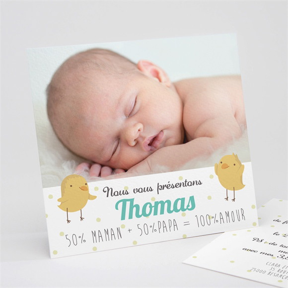 Faire-part naissance Petits Oiseaux réf.N31156