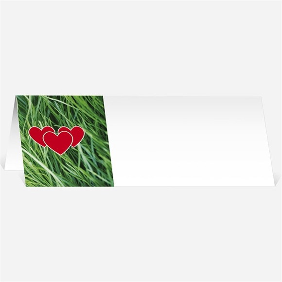 Marque-place mariage Notre Terrain de Football réf.N440248