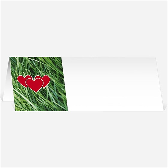 Marque-place mariage notre terrain de football