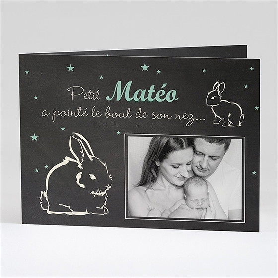Faire-part naissance petit lapin a pointé son nez !