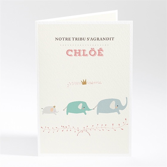 Faire-part naissance nos petits éléphants