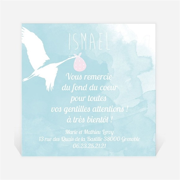 Remerciement naissance Livraison par cigogne réf.N300220